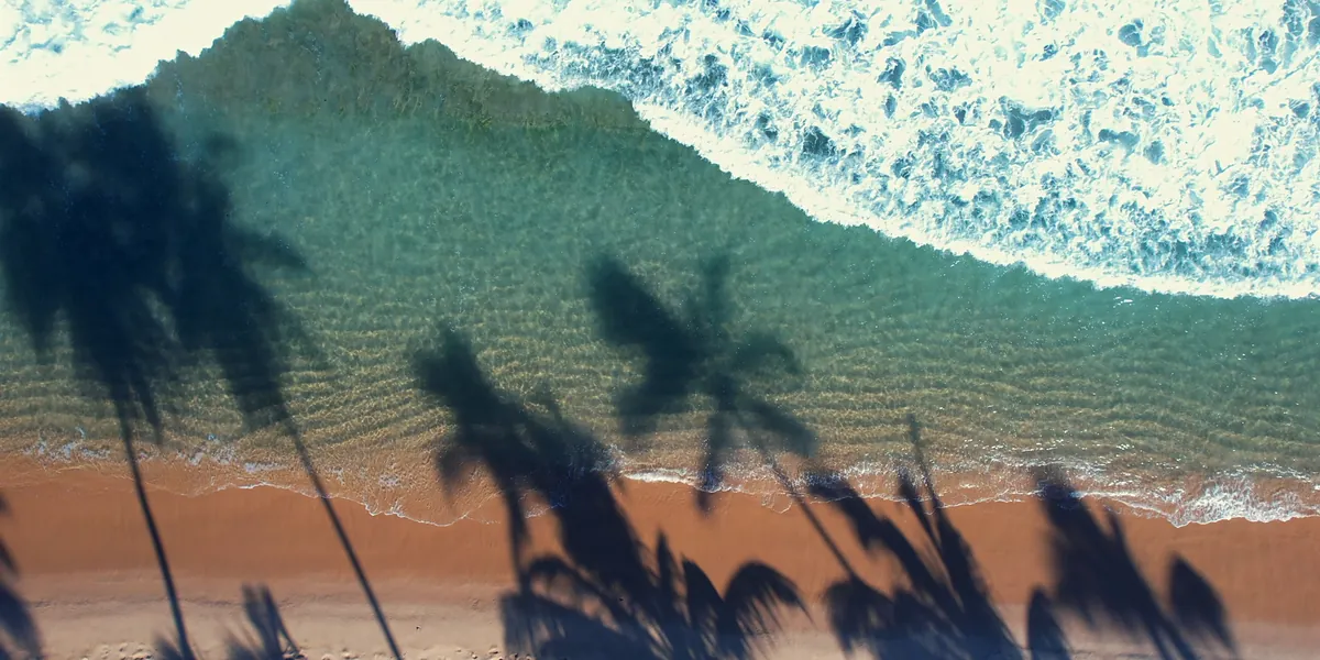 Vista superior da praia de Muro Alto: faixa de areia, sombra de coqueiros e a arrebentação sobre o recife.